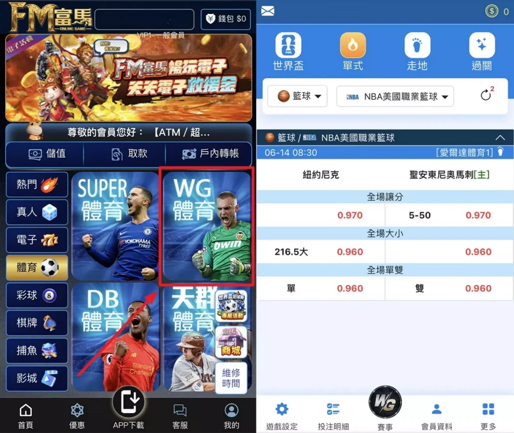 WG體育